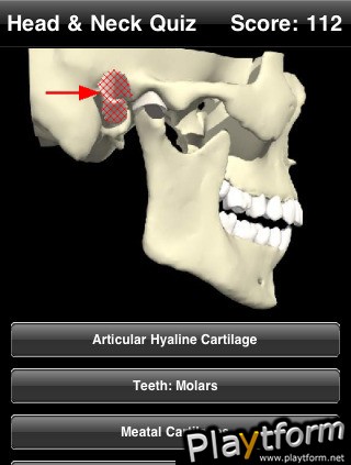 Head & Neck Quiz (iPhone/iPod)