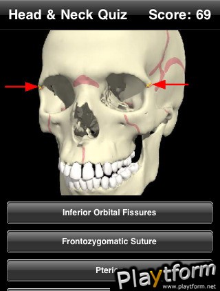 Head & Neck Quiz (iPhone/iPod)