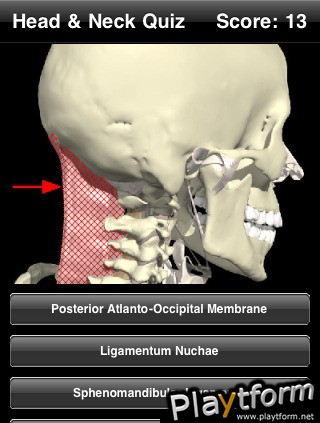 Head & Neck Quiz (iPhone/iPod)