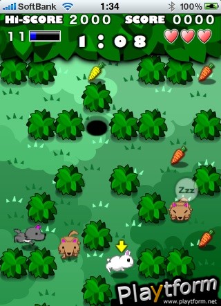 Rabbit MAZE (iPhone/iPod)