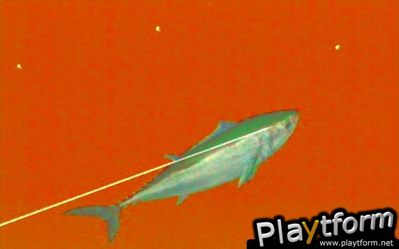 Reel Fishing: Angler's Dream (Wii)