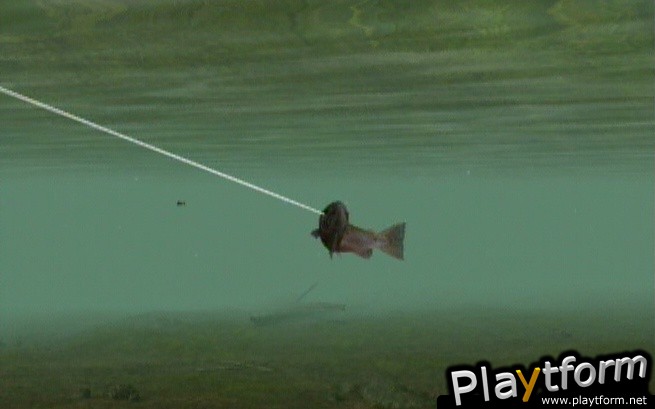 Reel Fishing: Angler's Dream (Wii)