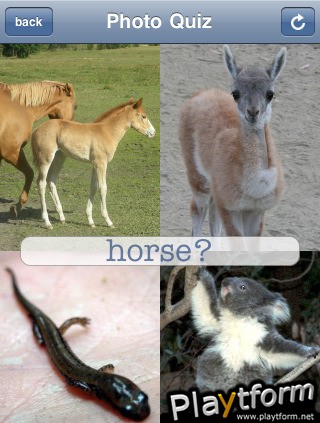 Baby Animals - An Encyclopedia Game (iPhone/iPod)