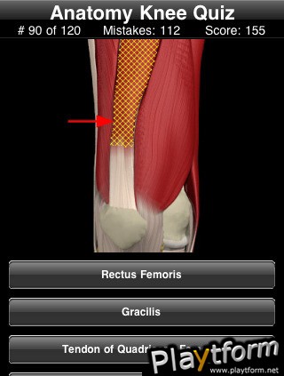 Anatomy Knee Quiz (iPhone/iPod)