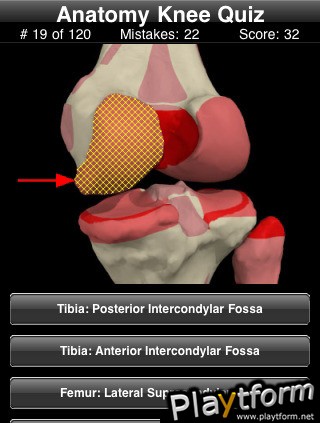 Anatomy Knee Quiz (iPhone/iPod)