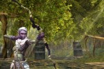 Dungeons & Dragons Online: Eberron Unlimited (PC)