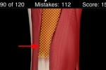 Anatomy Knee Quiz (iPhone/iPod)