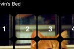 Cats 15 Puzzle (iPhone/iPod)