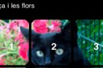 Cats 15 Puzzle (iPhone/iPod)