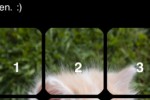 Cats 15 Puzzle (iPhone/iPod)