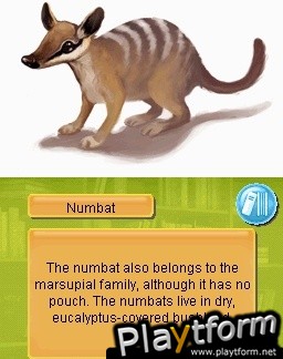 Paws & Claws Pet Vet: Australian Adventures (DS)