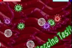 Swine Flu - The Ground Zero Chronicles (iPhone/iPod)