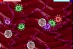 Swine Flu - The Ground Zero Chronicles (iPhone/iPod)