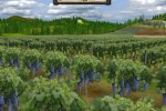 Wine Tycoon (PC)