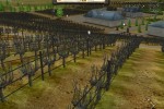 Wine Tycoon (PC)