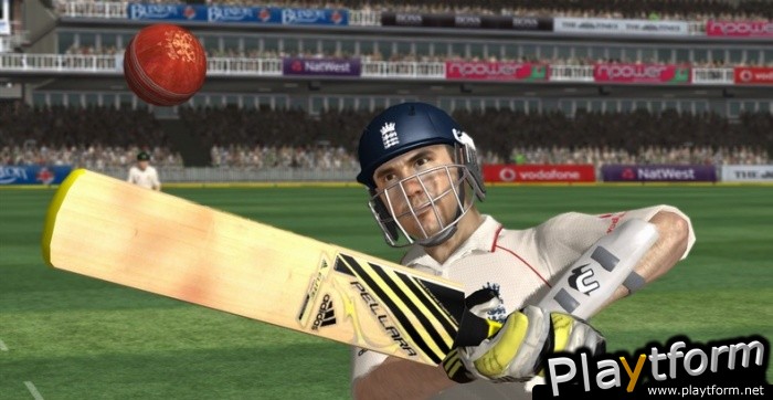 Cricket (Wii)