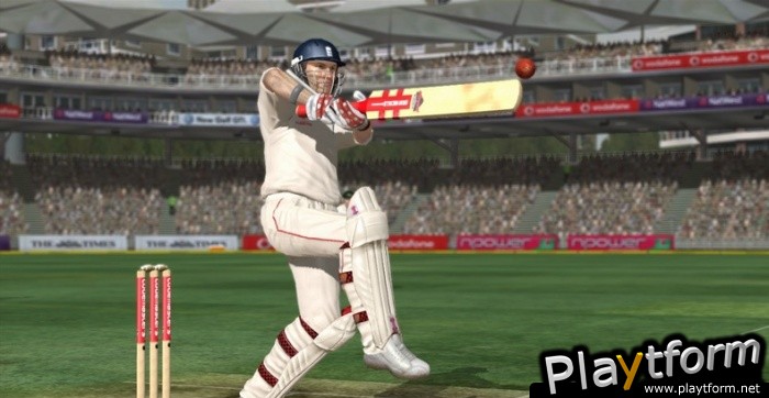 Cricket (Wii)