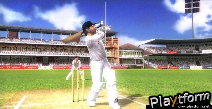 Cricket (Wii)