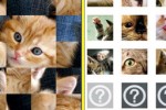 Kitty Puzzle (iPhone/iPod)