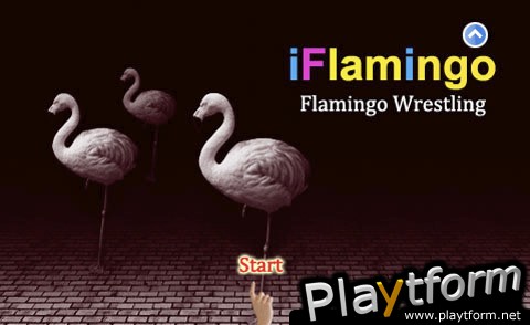 iFlamingo (iPhone/iPod)