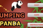 Jumping Panda (iPhone/iPod)