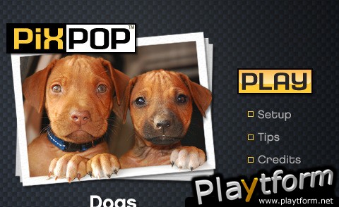 PixPop Dogs (iPhone/iPod)