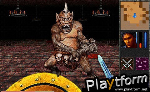 The Quest 3D RPG (iPhone/iPod)