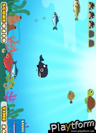 Killer Whale (iPhone/iPod)