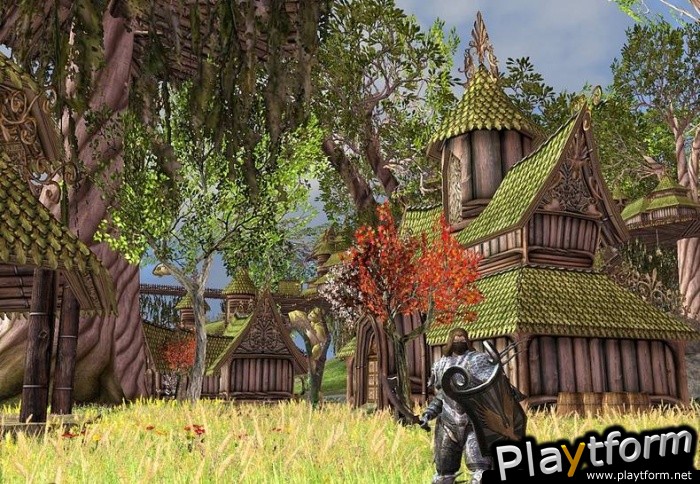 Darkfall Online (PC)