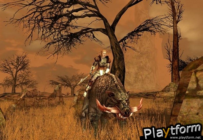 Darkfall Online (PC)