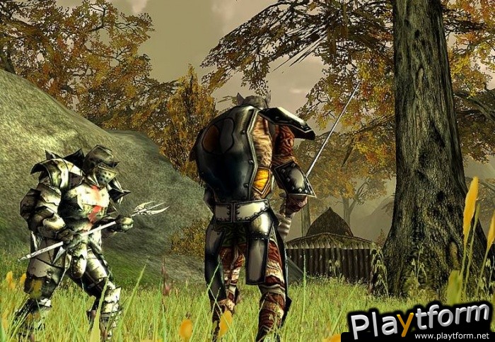 Darkfall Online (PC)