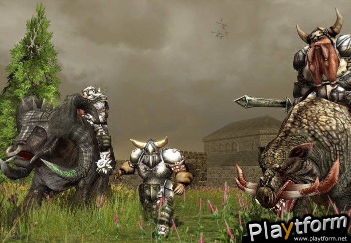 Darkfall Online (PC)