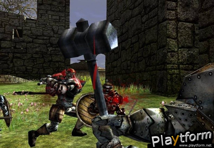 Darkfall Online (PC)