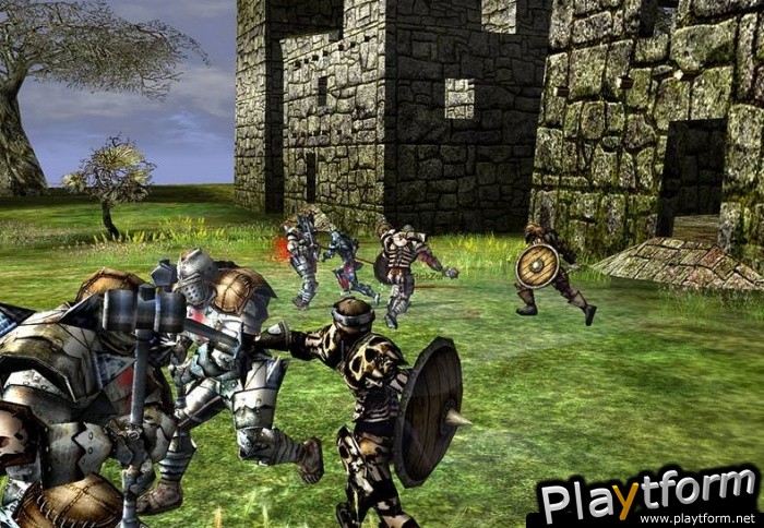 Darkfall Online (PC)