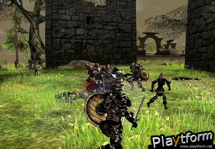 Darkfall Online (PC)