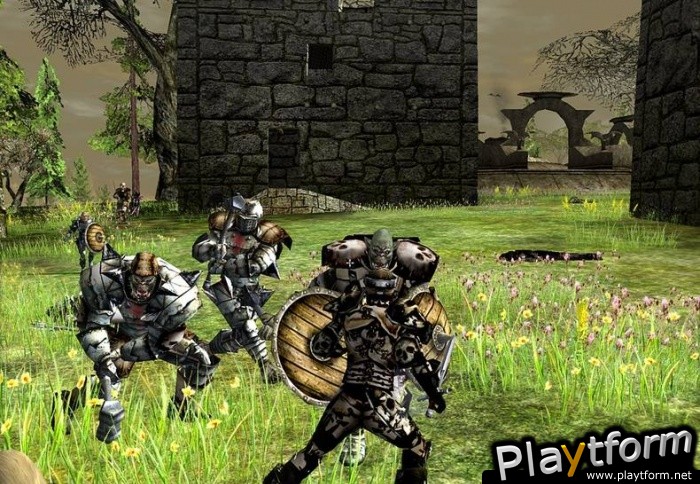 Darkfall Online (PC)