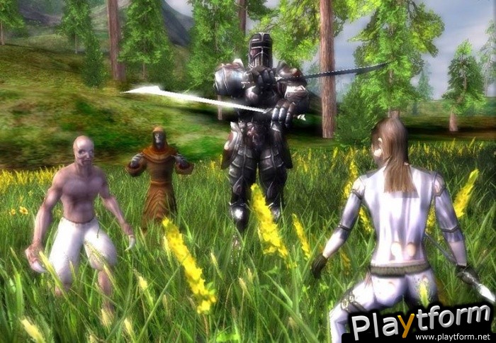 Darkfall Online (PC)