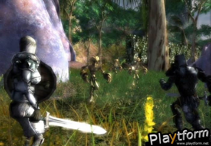 Darkfall Online (PC)