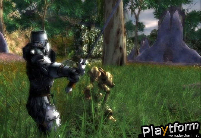 Darkfall Online (PC)