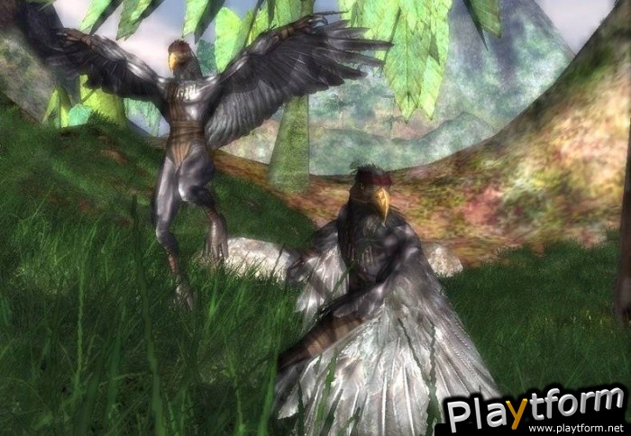 Darkfall Online (PC)