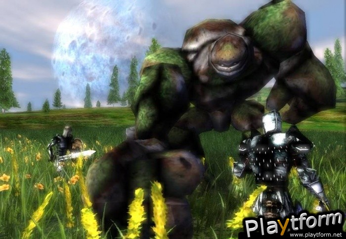 Darkfall Online (PC)