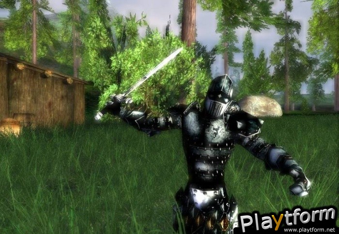 Darkfall Online (PC)