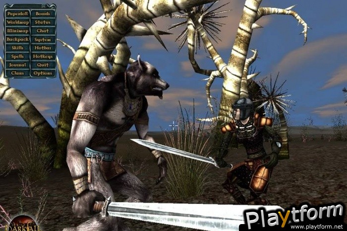 Darkfall Online (PC)