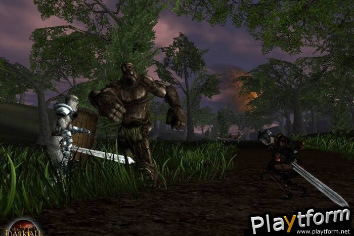 Darkfall Online (PC)