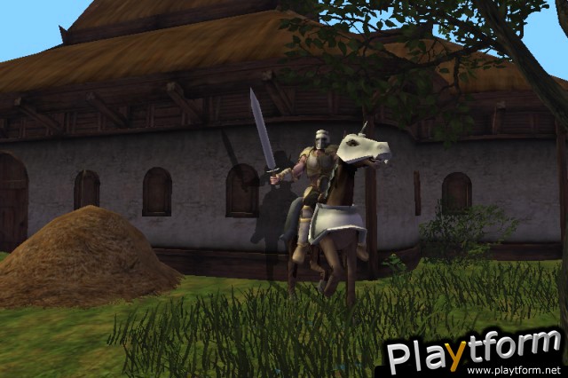 Darkfall Online (PC)