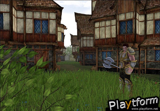 Darkfall Online (PC)