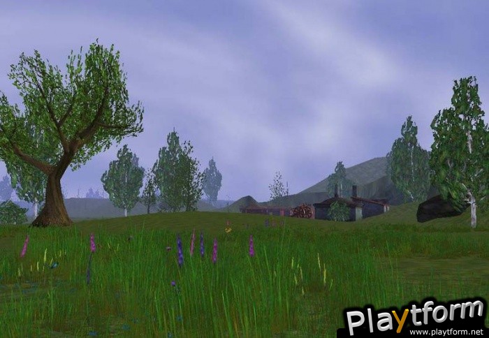 Darkfall Online (PC)