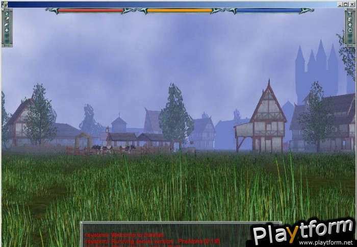 Darkfall Online (PC)