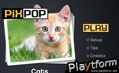 PixPop Cats (iPhone/iPod)