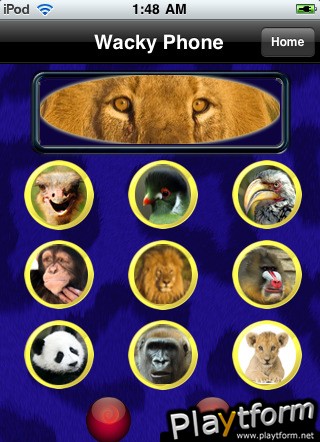 Wacky Safari (iPhone/iPod)